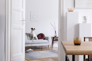 Stylish scandinavian interior of living room with design wooden table, chairs, grey sofa, decoration, personal accessories and beautiful dog in elegant home decor.
