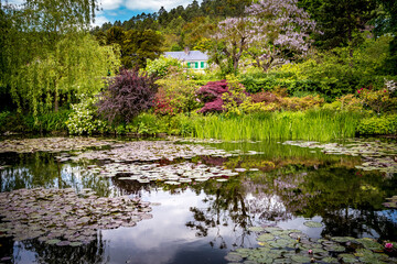 Pond, trees, and waterlilies in a french garden