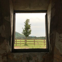 window