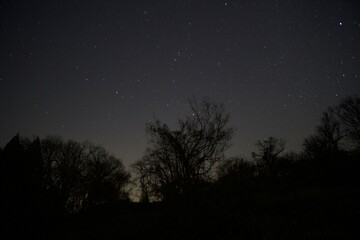 Naklejka premium 星空