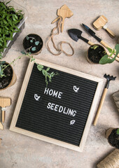 Letter board with text Home seedling, Gardening. Planting seeds in Biodegradable paper eco-friendly...