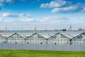 Obraz premium Old greenhouse constructions, agricultural sector