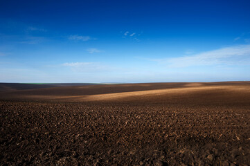 wavy ground cultivated field in spring in brown tones