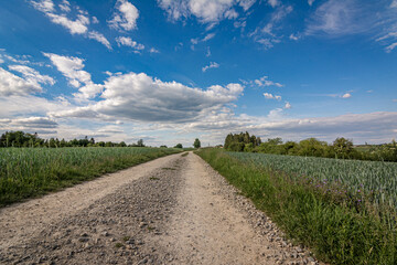 Fototapeta na wymiar Gravel road across the fields in summer