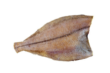 Ready to cook fresh flatfish on a white background