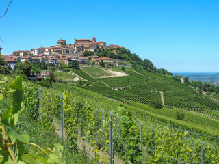 Fototapeta na wymiar Borgo in collina - Langhe, Piemonte