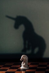 chess knight, shadow of the unicorn © allaeliseeva