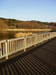 Fototapeta na wymiar 早春の池と木橋のある公園風景