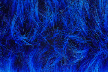 Fabric texture fur blue background.