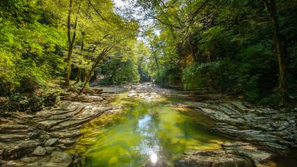 Obraz premium Wild rainforest landscape with sharp rocks and flowing river