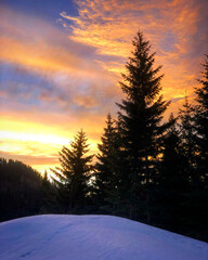 Sunset in the mountain Jahorina, Bosnia and Herzegovina