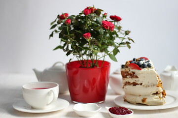 Red roses bush in pot on white table with tea crockery set and cake with berries