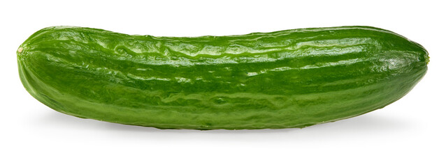 cucumber isolated on white background. clipping path