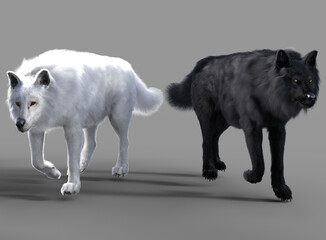 	
Black and white wolf render with grey background