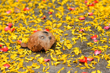 flower on the floor