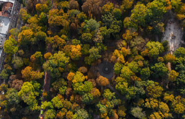 Aerial top view on the golden autumn tree crowns in the park. Panoramic photo over the tops of the trees. Beautiful ancient building on the street and playground in the park. Urban nature.
