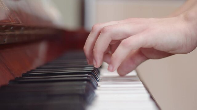 Musician plays chords on the piano with hands. Pianist plays close-ups with fingers on piano keys. Education to play the pianino.