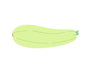 Cute hand-drawn zucchini isolated on white. Hand-drawn vector illustration in a trendy style.