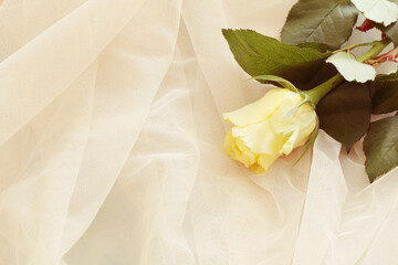 light beige tulle fabric with gentle yellow rose
