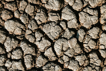 Global warming. A dry land with the last drips of water on the edge of it. Really hot temperature. Danger for agriculture.