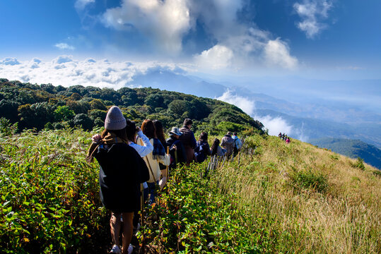 Group of people walking on mountain in morning sunrise, trekking on the Kew Mae Parn,Inthanon National Park mountain in Thailand.