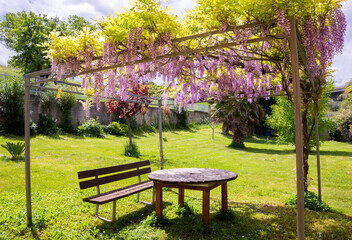 Beautiful gazebo covered with flowers with wooden furniture , shady place to relax in summer garden