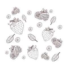 Abstract vector illustration. Silhouette of a strawberry, raspberry, blueberry. Minimal style. Sketch. Berry concept perfect for cards, party invitations, posters, stickers, clothing
