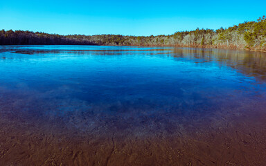 Frozen Glacial Moraine Kettle Pond in the Pine Forest at Dawn