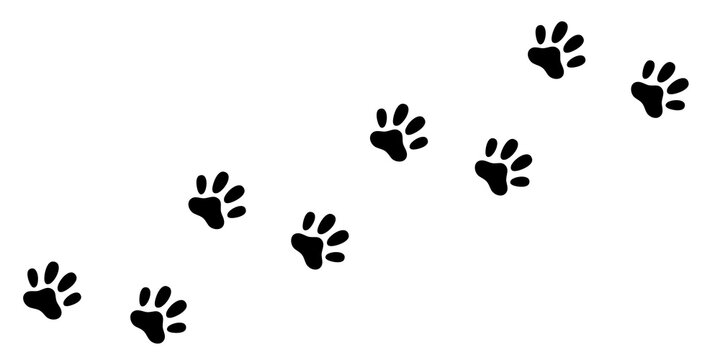 Cat dog paw foot print track diagonal. Footpath trail silhouette. Black footprint set. Cute kawaii animal sign symbol. Flat design. White background. Isolated.