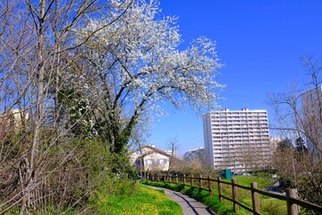 Obraz premium paysages banlieue de lyon france