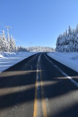 Snowy spruce trees under a blue sky, Québec