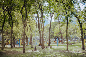 Fototapeta premium Image of green garden background in the park