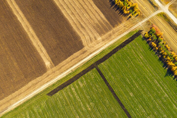 Abstract geometric shapes of agricultural parcels of different crops in yellow and green colors. Aerial view shoot from drone directly above field. High quality photo