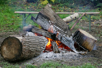 a camp fire