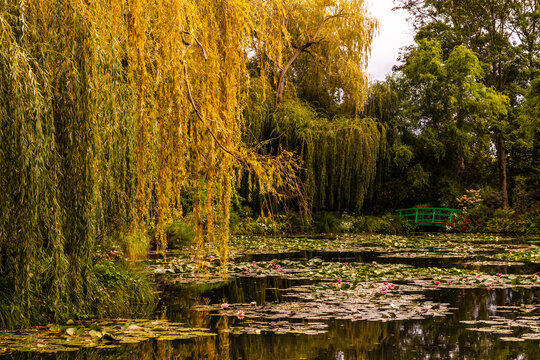 Meeting Claude Monet on his water lily pond