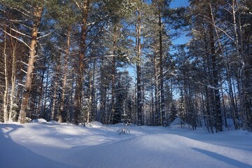 Obraz premium A february day at our backyard in Kokkola, Finland