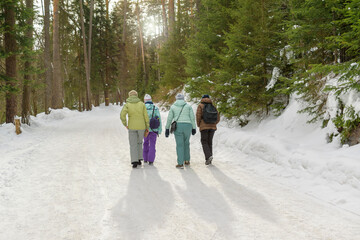 Four women walk along a snowy road in a coniferous forest. White snow in winter. Sun glare and shadows. The concept of winter walking, hiking.