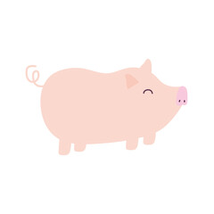 pig on a white background