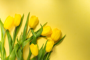 top view of spring tulips on colorful yellow background, panoramic shot