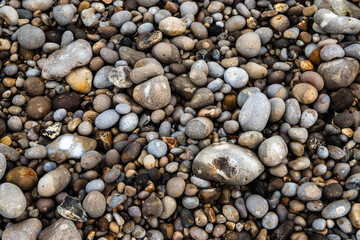 Stone carpet on Etretat beach, Normandy