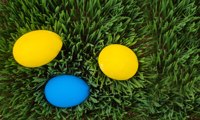 Fototapeta na wymiar Bright and colorful Easter card, colorful Easter eggs in the grass, green grass, colorful eggs, Easter holiday.