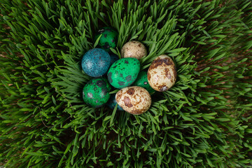 flat lay colorful Easter eggs in the grass, green grass, colorful eggs, Easter holiday.