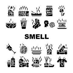 Smell Feel And Sense Collection Icons Set Vector
