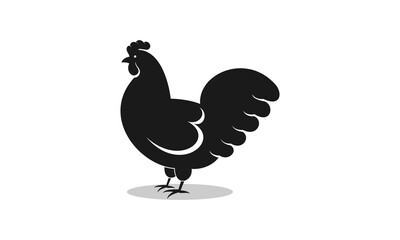 Chicken illustration vector