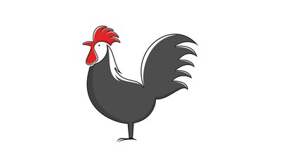 Rooster chicken illustration vector design