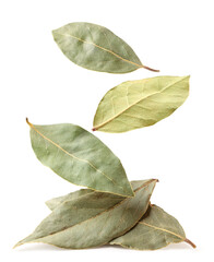 Laurel leaves fall on a heap, on a white background. Isolated