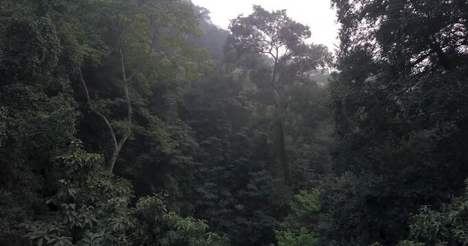 Lush Foliage And Vegetation Inside The Forest Park Of Cotigao Wildlife Sanctuary In Canacona Taluka, South Goa District, Goa, India. - Aerial Shot