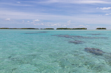 Fototapeta na wymiar Lagon paradisiaque à Rangiroa, Polynésie française