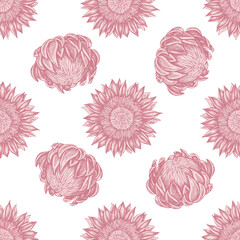 Seamless pattern with hand drawn pastel protea