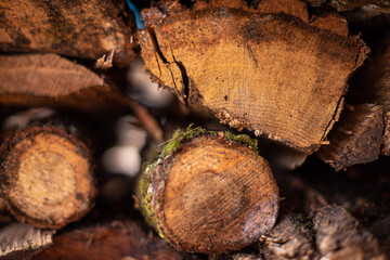 Timbers, woodpiles, fell of timbers 